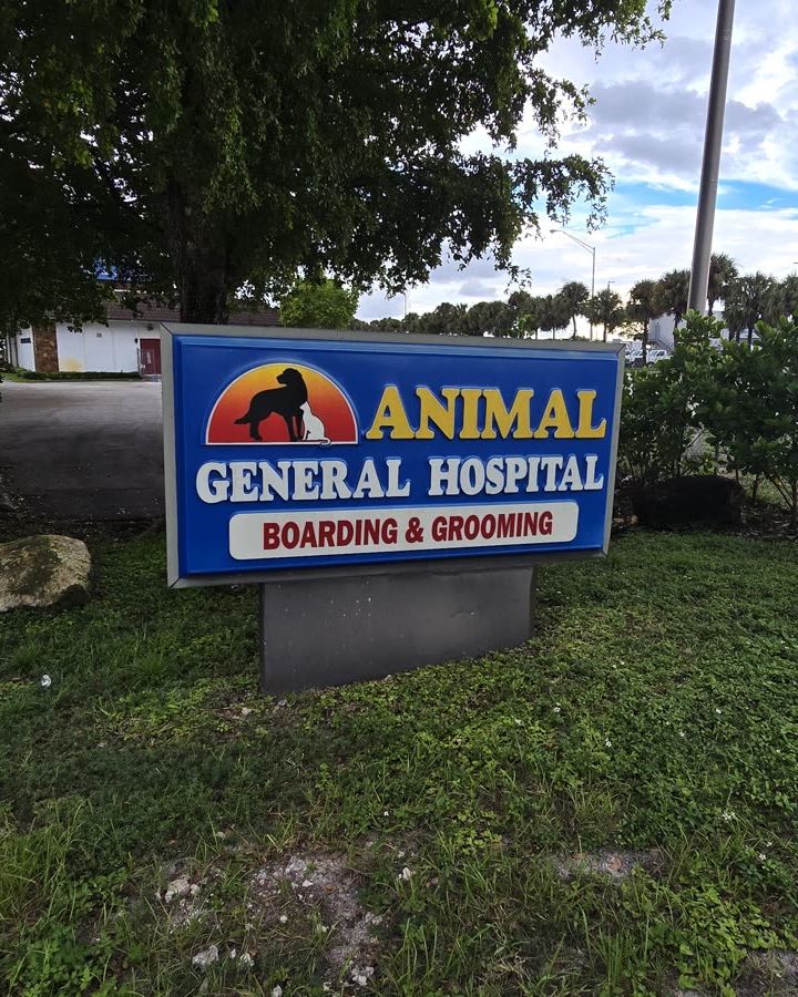 Animal General Hospital street sign reading Boarding & Grooming, outside our hospital at 7390 NW 74th St in Medley
